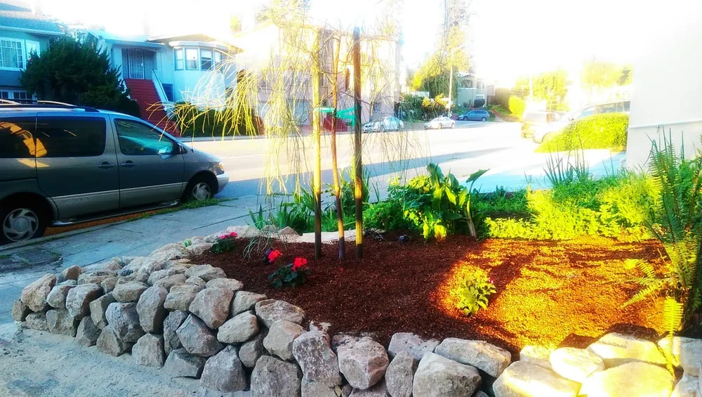 Professional yard cleanup service for homes in Bay Area, CA by Landscape Barbers