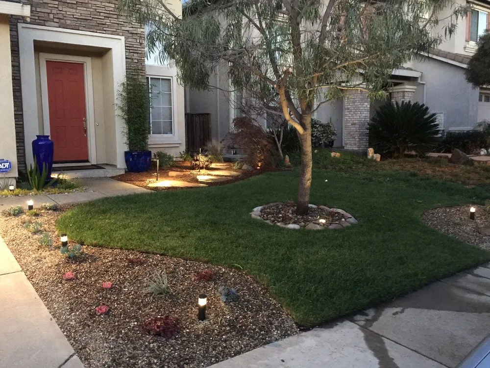 Expert yard cleanup service for year-round maintenance in Bay Area, CA by Landscape Barbers