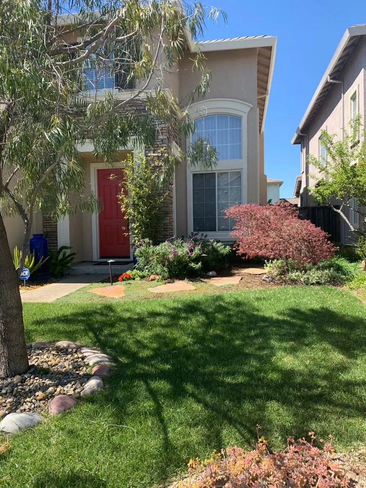 Reliable landscape design in Bay Area, CA - Landscape Barbers