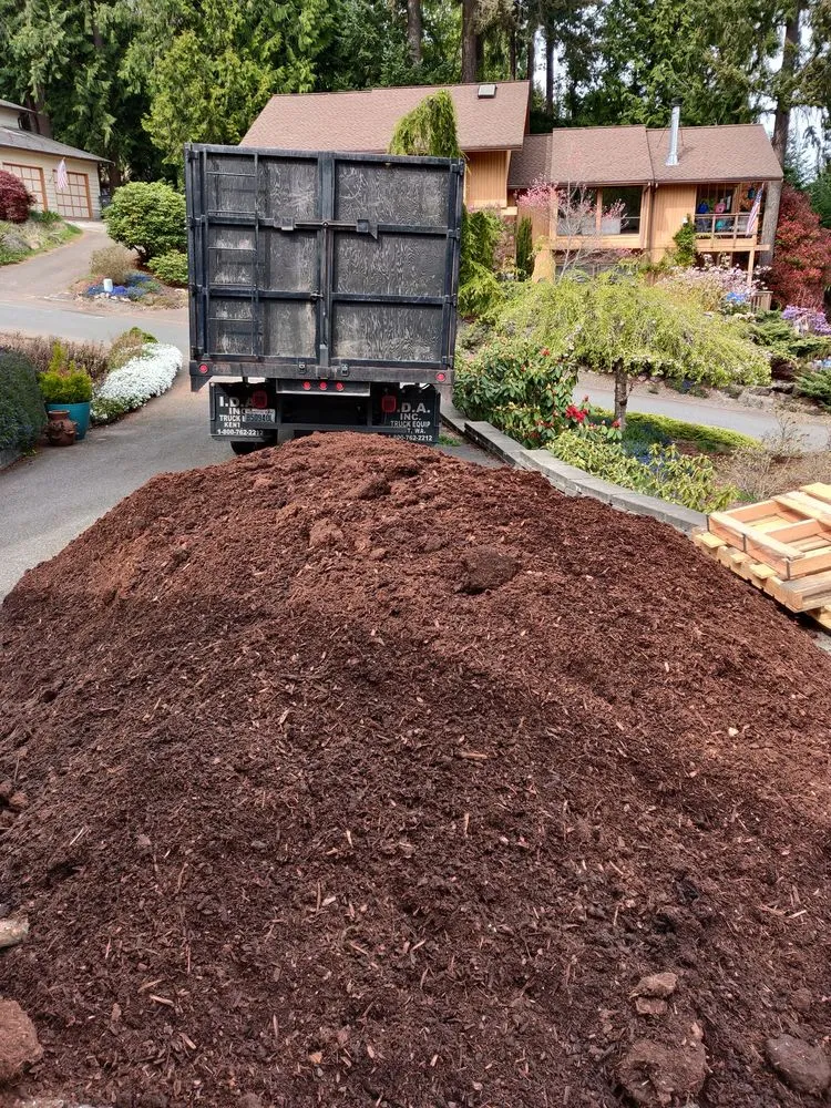 Custom landscape installation in Bremerton, WA - Landscape Bark Delivered
