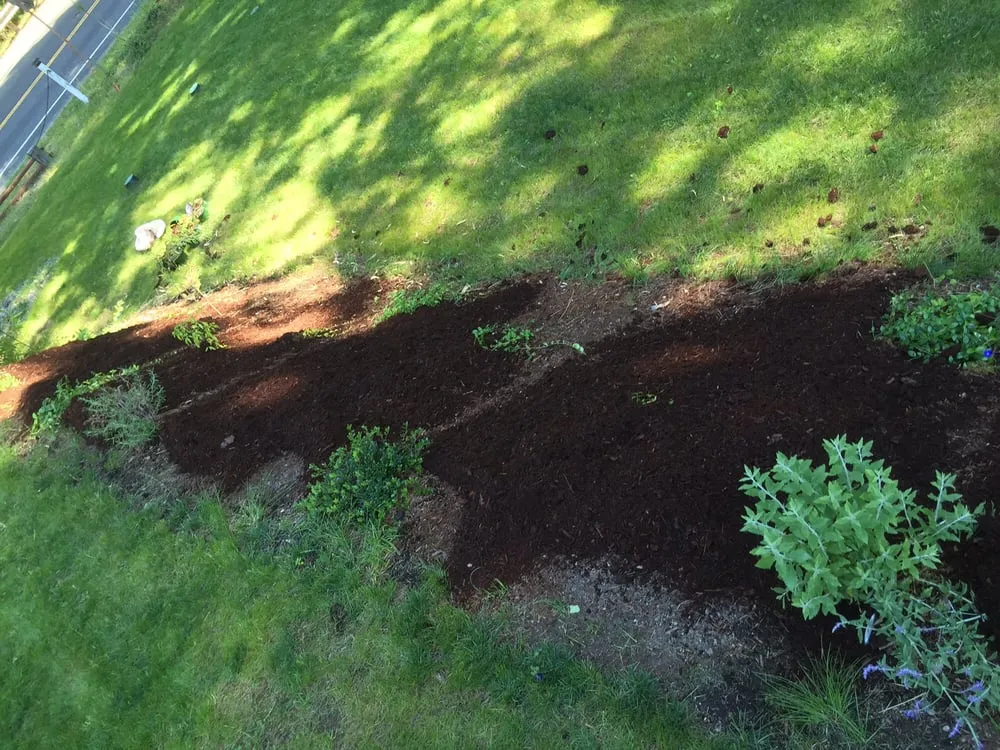 Expert landscape design in Bremerton, WA by Landscape Bark Delivered