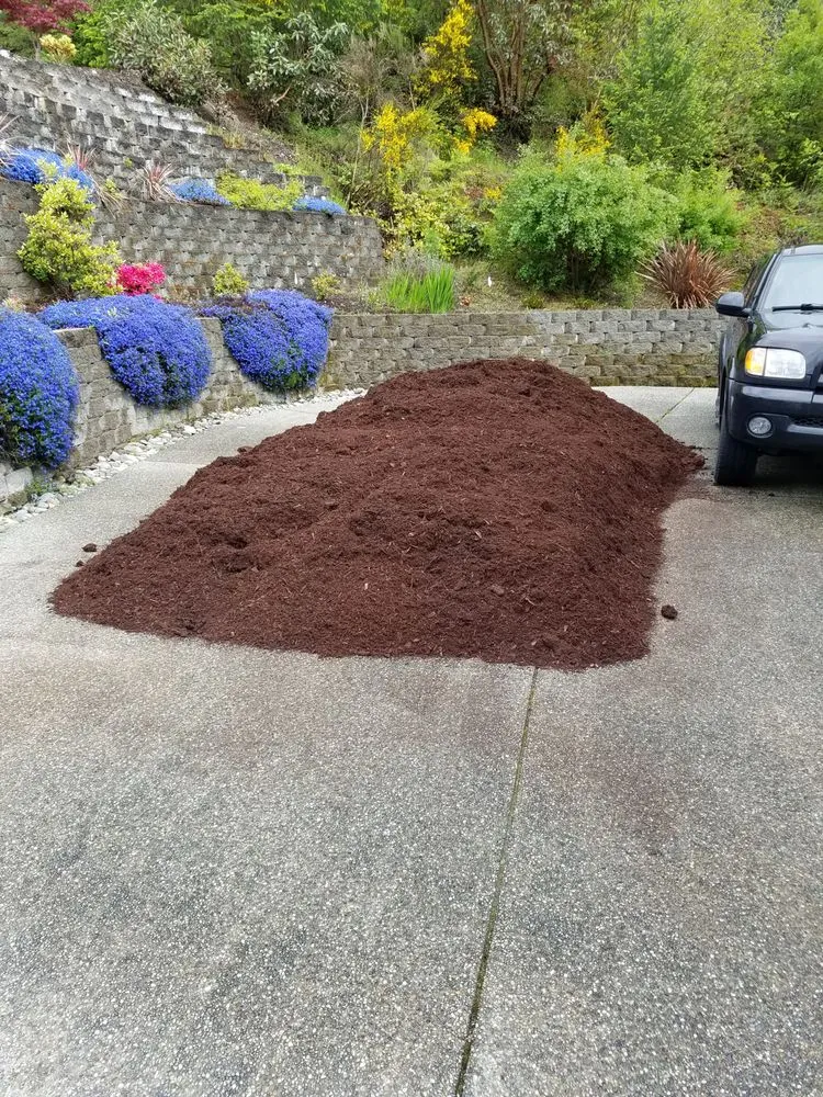 Top-rated outdoor landscaping for year-round maintenance across Bremerton, WA - Landscape Bark Delivered