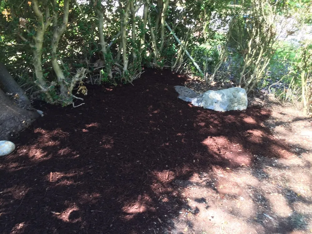 Local residential landscaping for year-round maintenance in Bremerton, WA by Landscape Bark Delivered