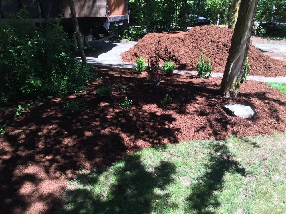 Reliable yard maintenance experts serving Bremerton, WA - Landscape Bark Delivered