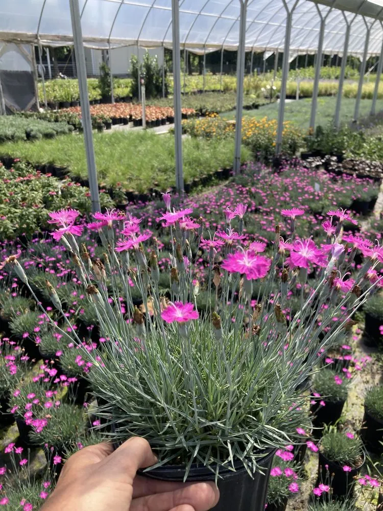 Reliable residential landscaping in Murfreesboro, TN by Landscape Brokers