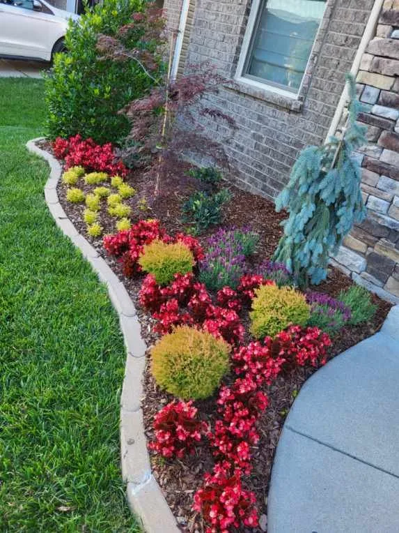 Reliable lawn care service with custom design in Murfreesboro, TN by Landscape Brokers