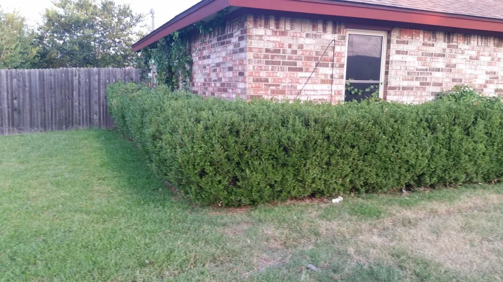 Reliable lawn mowing service for residential properties in Weatherford, TX by Landscape Bros J&I