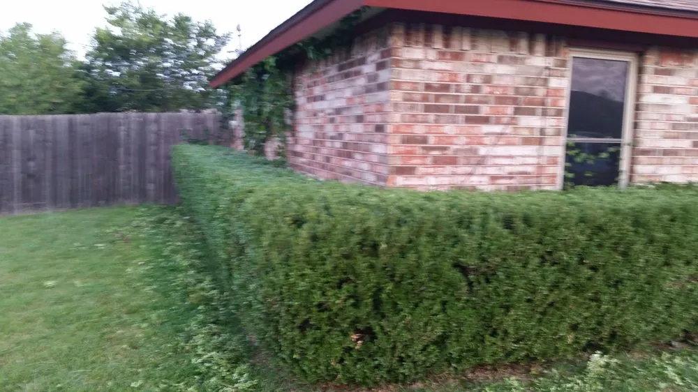 Custom outdoor landscaping for outdoor upgrades across Weatherford, TX - Landscape Bros J&I