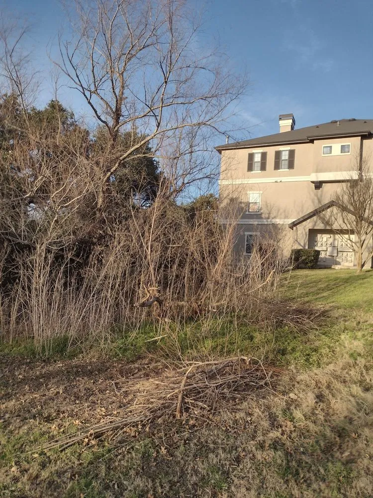 Professional outdoor landscaping in Round Rock, TX by Landscape Builders