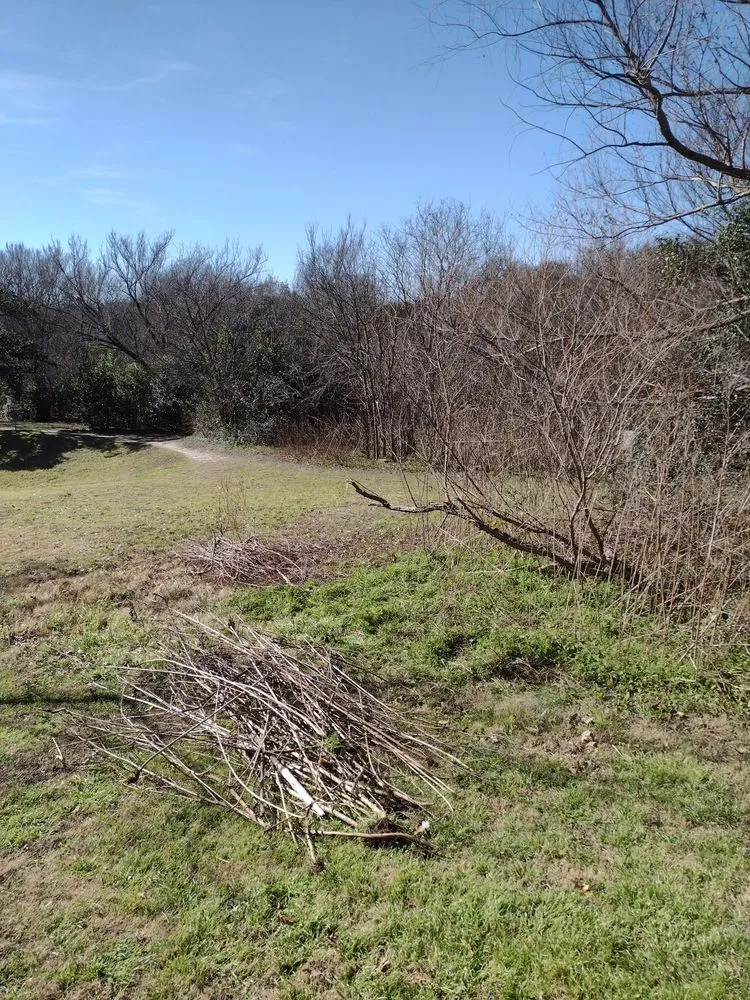 Local landscaping services in Round Rock, TX - Landscape Builders