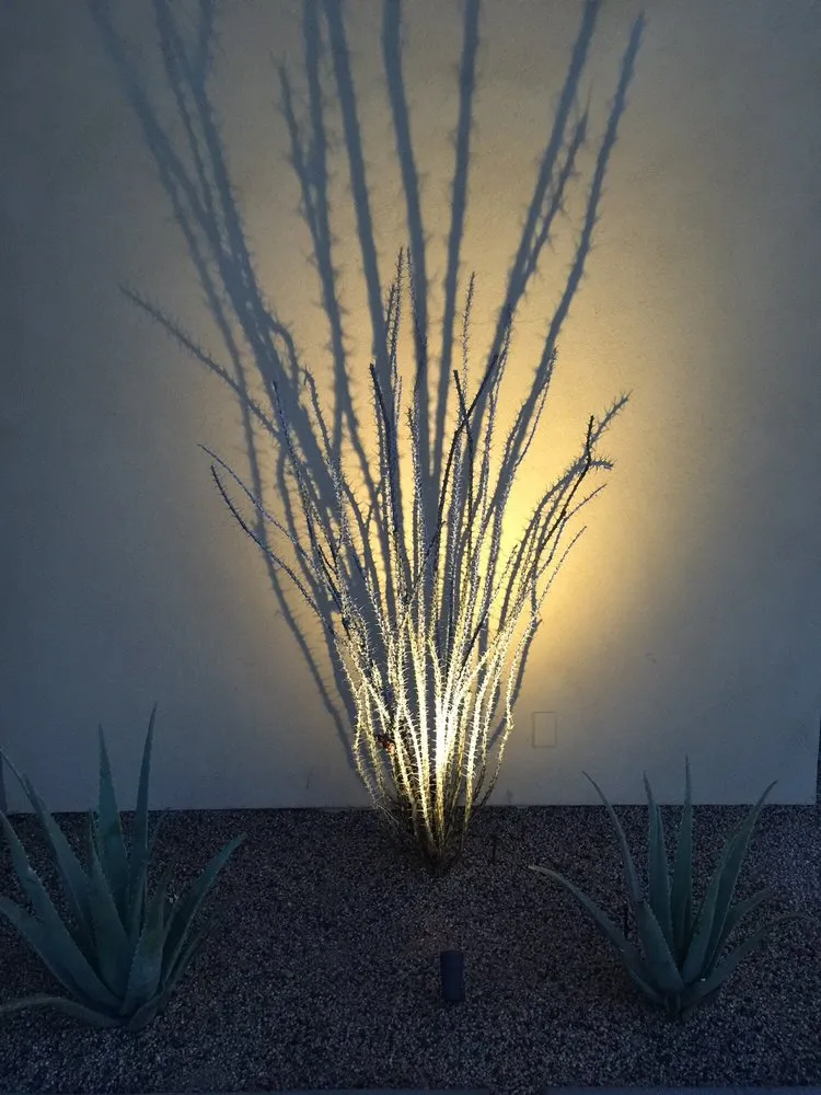 Affordable yard maintenance for year-round maintenance across Cathedral City, CA - Landscape By Design