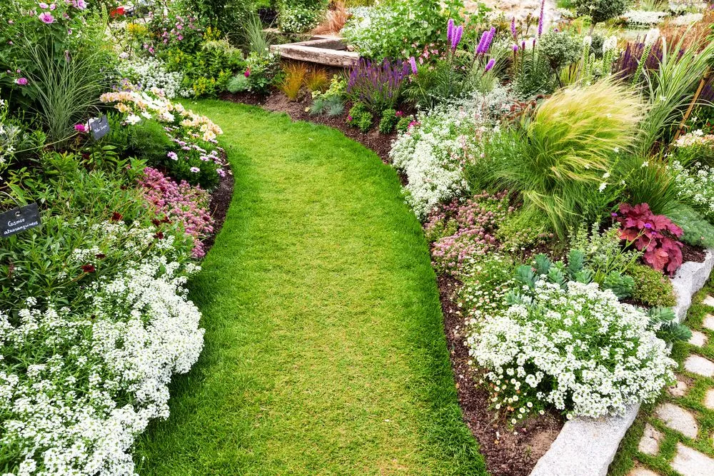 Top-rated landscaping services in Clearwater, FL - Landscape By Design