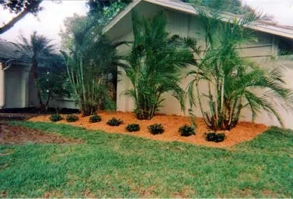 Reliable residential landscaping for homes across Clearwater, FL - Landscape By Design