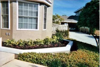 Professional lawn care service for beautiful yards in Clearwater, FL by Landscape By Design