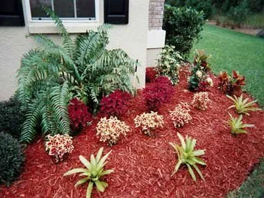 Expert residential landscaping experts serving Clearwater, FL - Landscape By Design