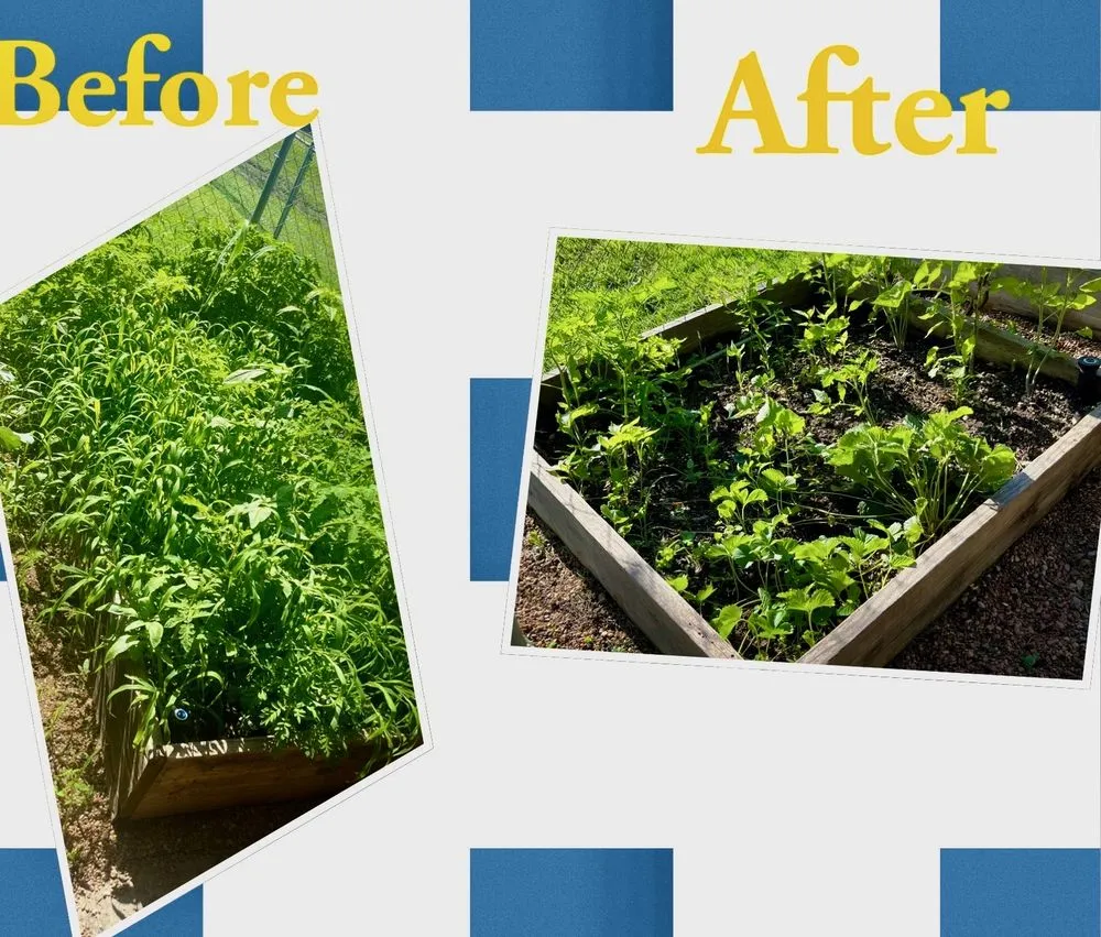 Affordable lawn mowing service for beautiful yards across Kansas City, KS - Landscape By Design