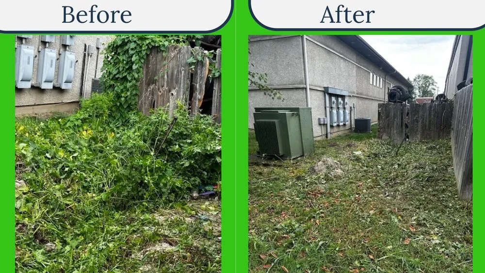 Affordable outdoor landscaping for homes across Kansas City, KS - Landscape By Design