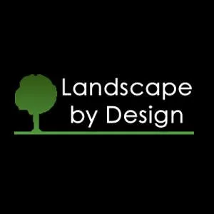 Local yard cleanup service experts serving North Richland Hills, TX - Landscape By Design