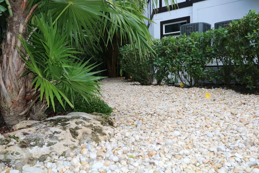 Reliable lawn mowing service in Palmetto, FL - Landscape By Design of Palmetto