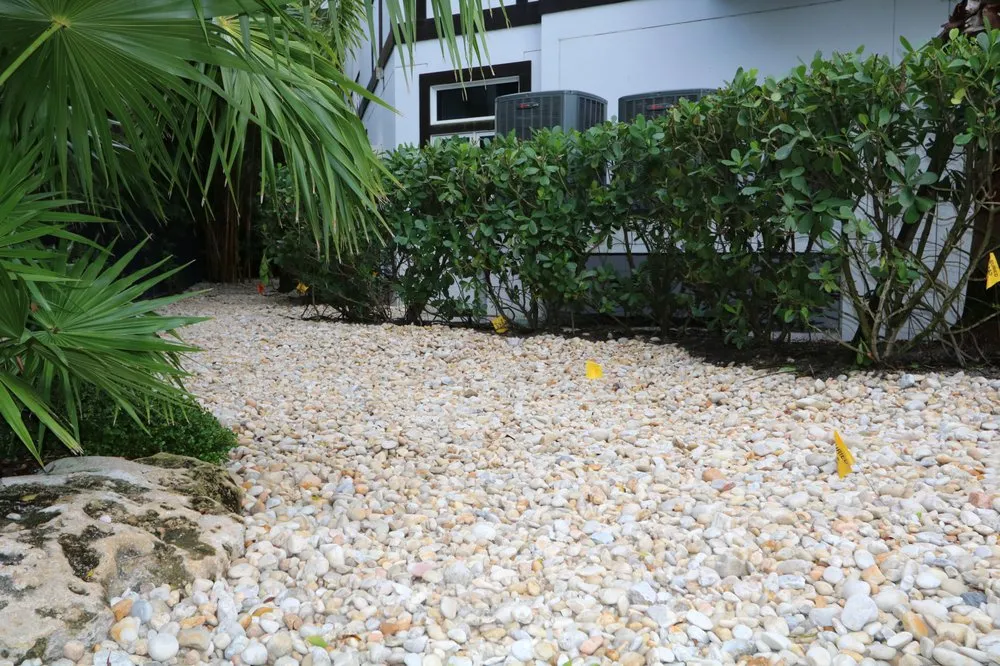 Expert yard maintenance experts serving Palmetto, FL - Landscape By Design of Palmetto