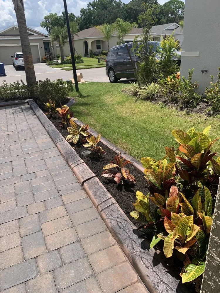 Trusted yard maintenance for homes in Palmetto, FL by Landscape By Design of Palmetto
