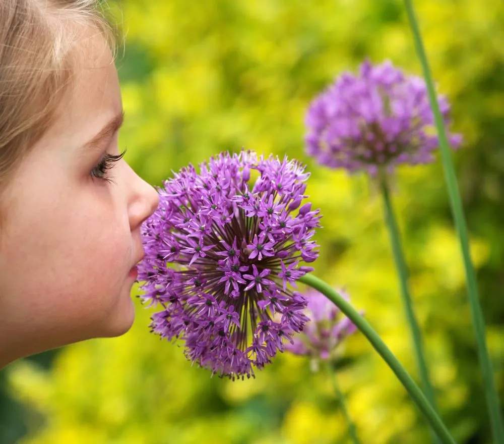 Expert garden landscaping in Palmetto, FL by Landscape By Design of Palmetto