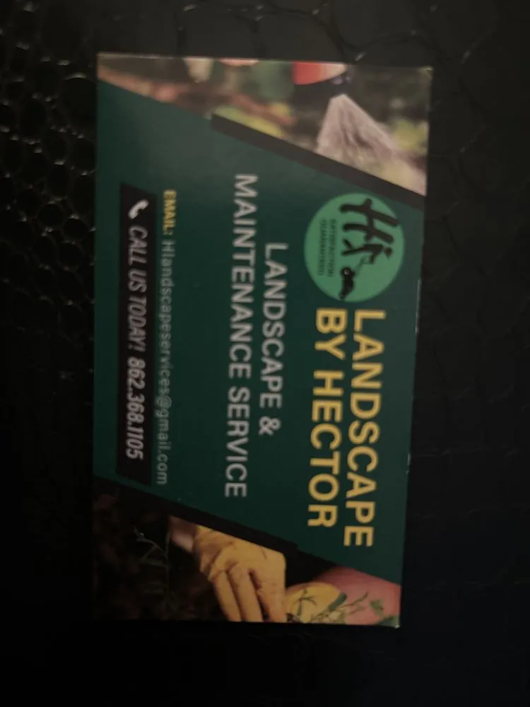 Trusted landscape installation for residential properties across East Orange, NJ - Landscape by Hector