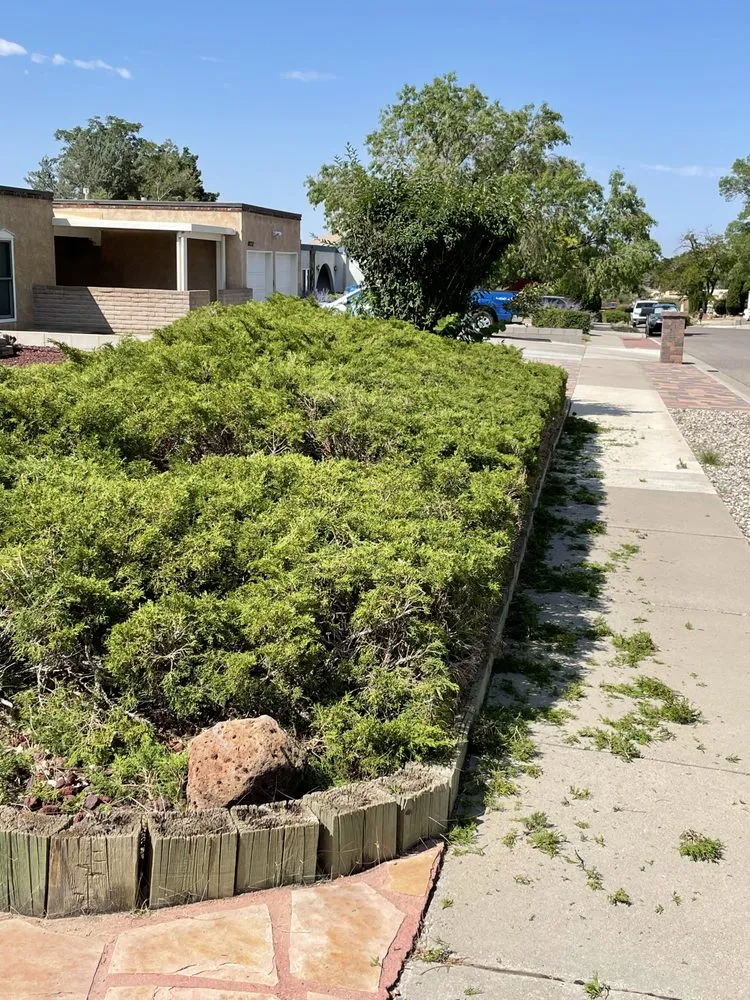 Expert landscape design for residential properties across Albuquerque, NM - Landscape By Meese