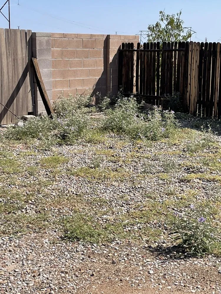 Custom outdoor landscaping near you in Albuquerque, NM by Landscape By Meese