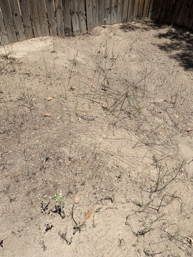 Custom lawn mowing service for beautiful yards in Albuquerque, NM by Landscape By Meese