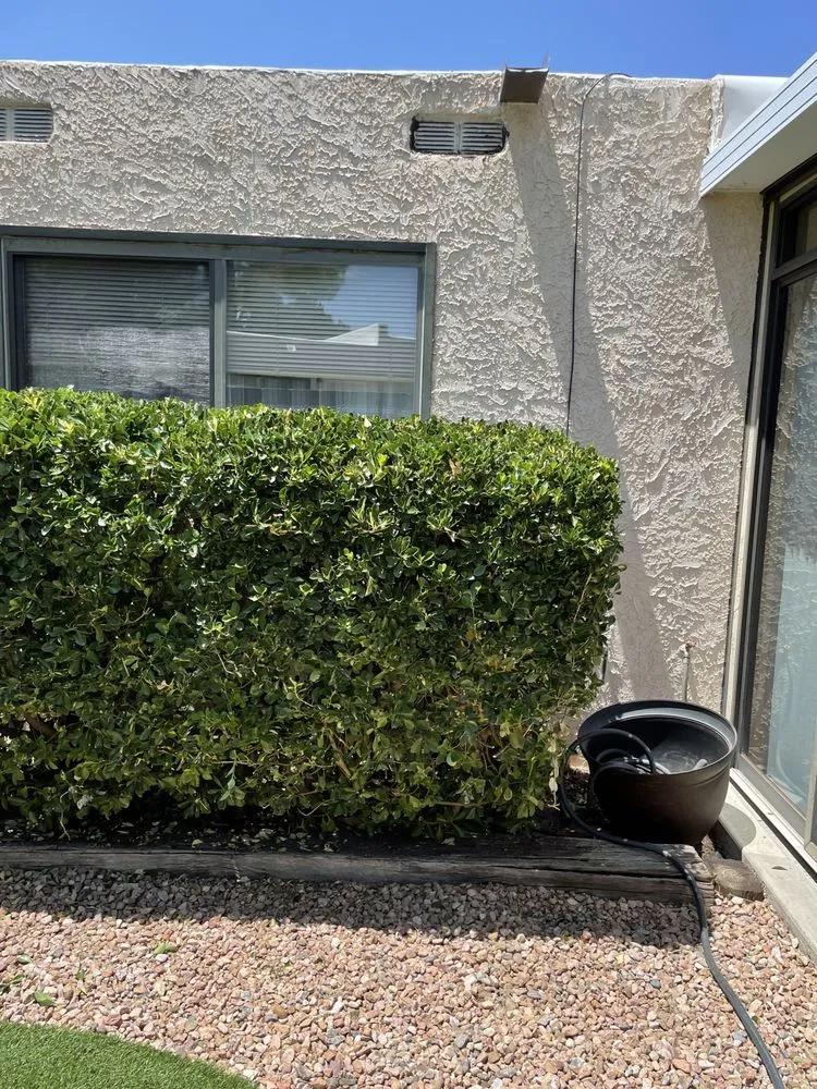 Reliable landscape design for year-round maintenance in Albuquerque, NM by Landscape By Meese