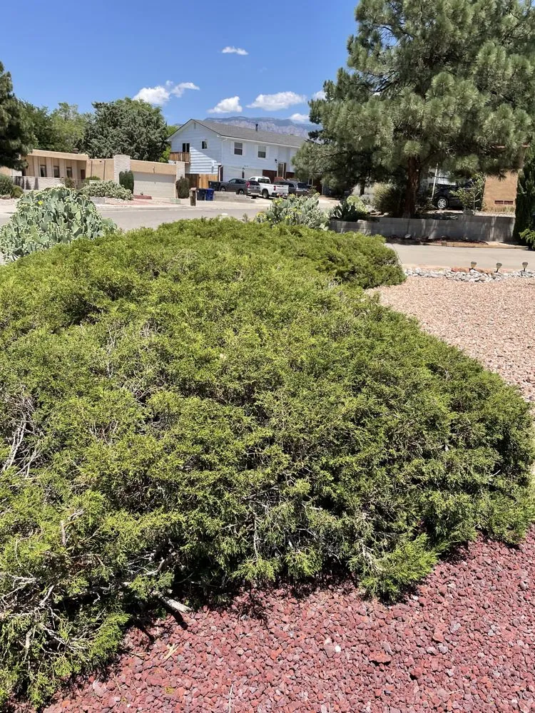 Affordable residential landscaping in Albuquerque, NM by Landscape By Meese