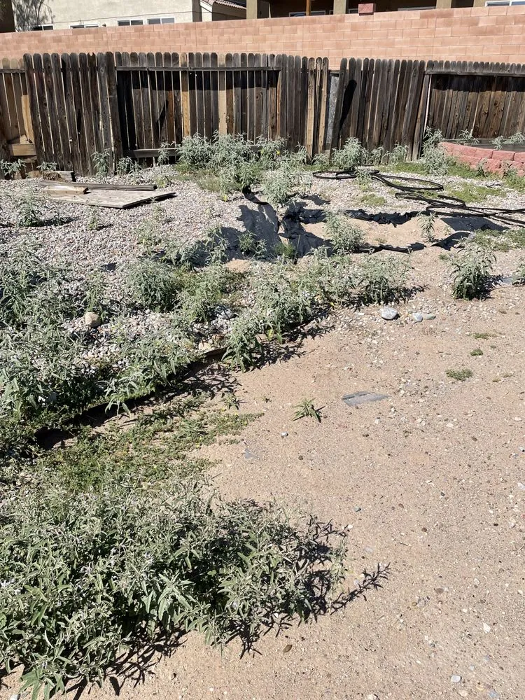 Top-rated residential landscaping in Albuquerque, NM - Landscape By Meese