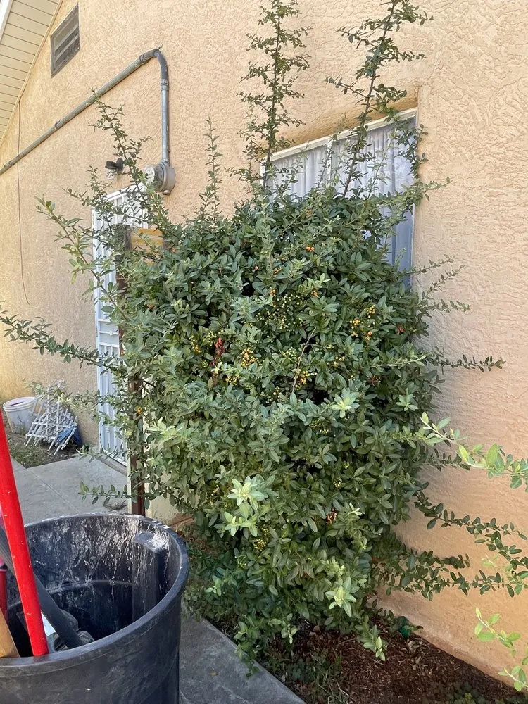 Reliable landscaping services near you across Albuquerque, NM - Landscape By Meese