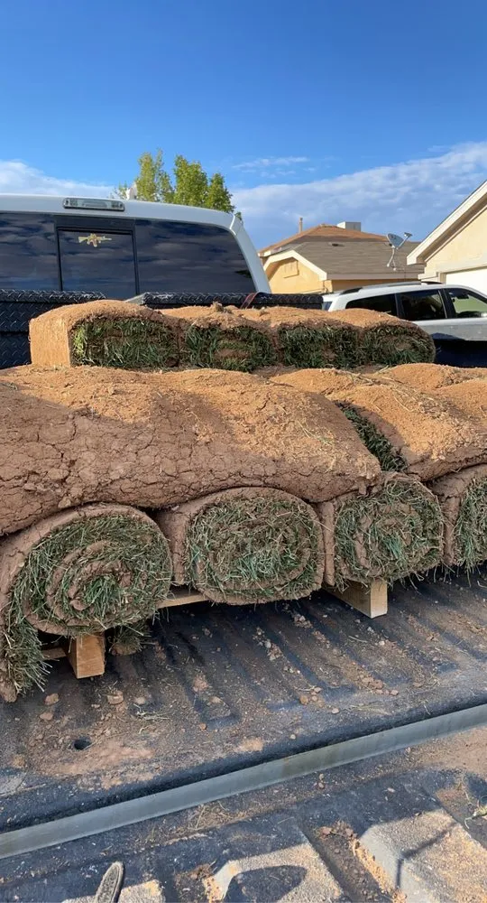 Top-rated yard maintenance with custom design in Albuquerque, NM by Landscape By Meese