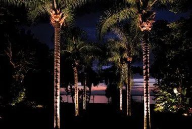 Top-rated landscape installation experts serving St Petersburg, FL - Landscape By Palmer