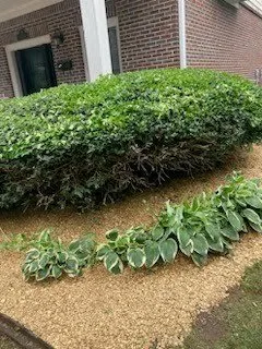Expert residential landscaping in Fairburn, GA - Landscape By Purpose