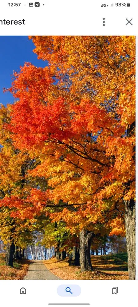 Affordable garden landscaping in Franklin, OH by Landscape By Sayid