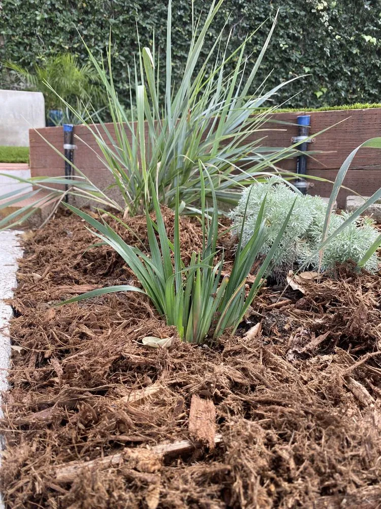 Local landscaping services for homes across San Gabriel, CA - Landscape Californica