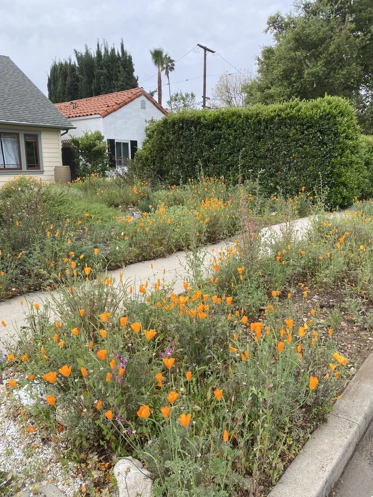 Trusted lawn care service in San Gabriel, CA by Landscape Californica