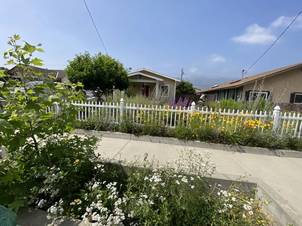 Expert garden landscaping for year-round maintenance across San Gabriel, CA - Landscape Californica