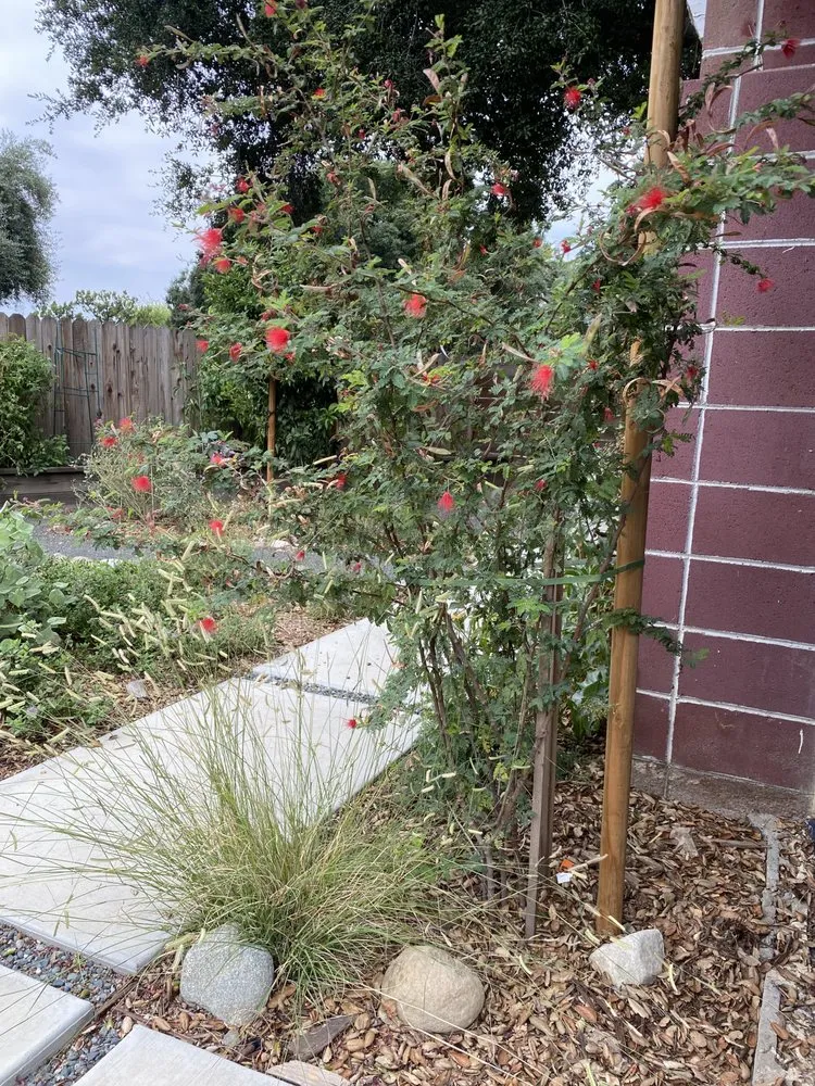 Top-rated landscaping services with custom design in San Gabriel, CA by Landscape Californica