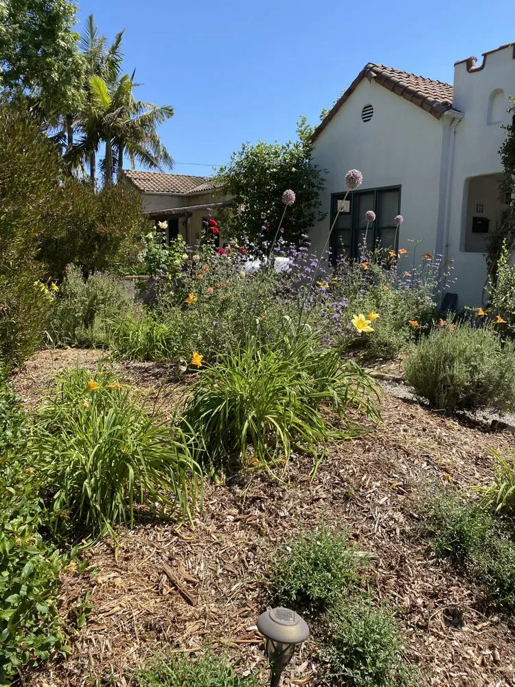 Reliable yard cleanup service with custom design across San Gabriel, CA - Landscape Californica