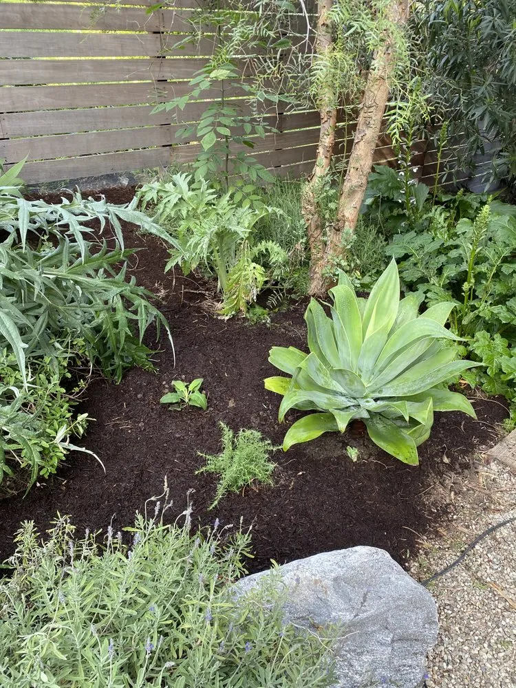 Top-rated landscape design experts serving San Gabriel, CA - Landscape Californica