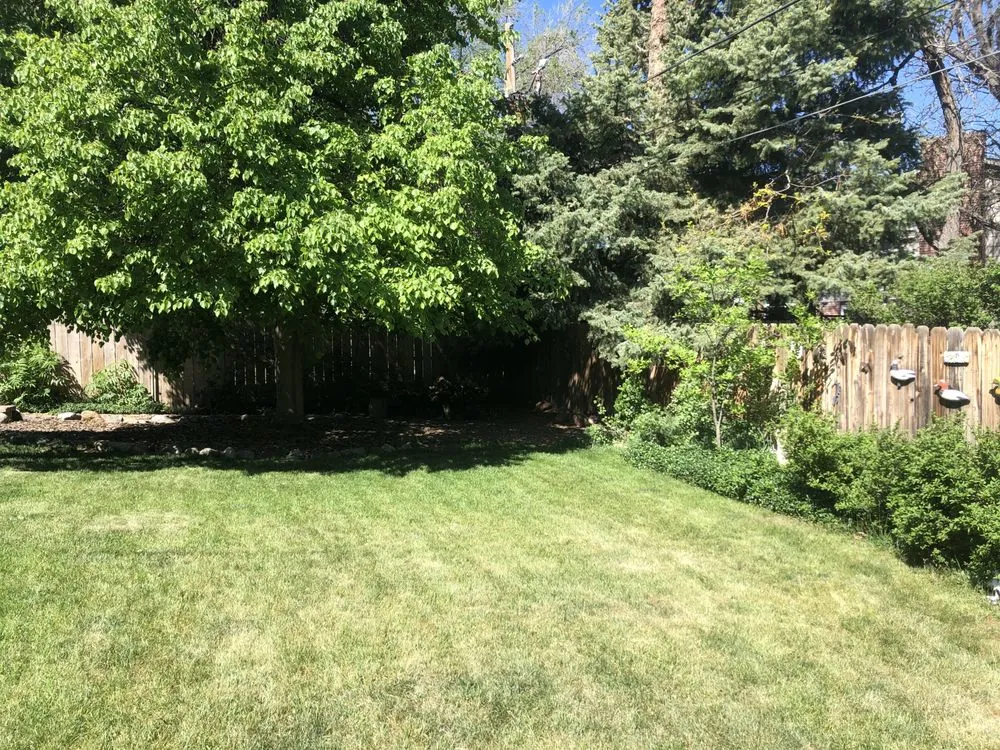 Top-rated lawn care service experts serving Lafayette, CO - Landscape Care Associates