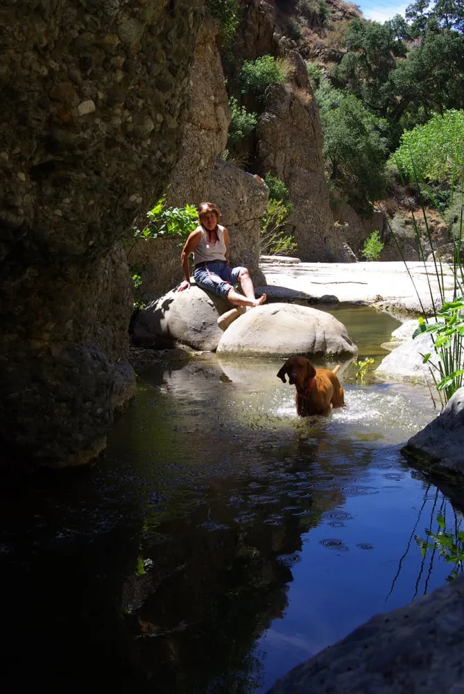 Local garden landscaping for year-round maintenance in Castaic, CA by Landscape Cleaner