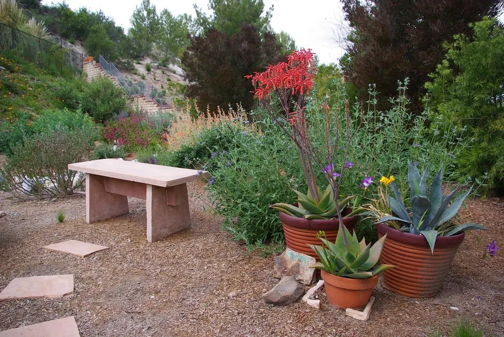 Affordable landscape design in Castaic, CA - Landscape Cleaner
