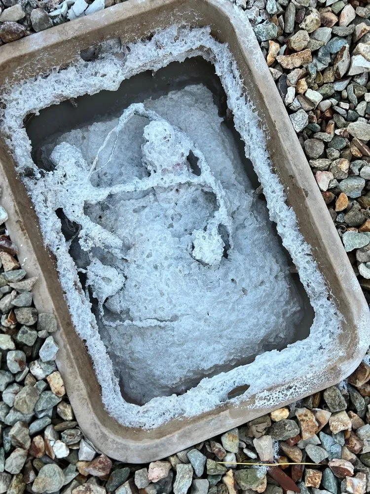 Professional landscape installation in Chandler, AZ by Landscape Concepts