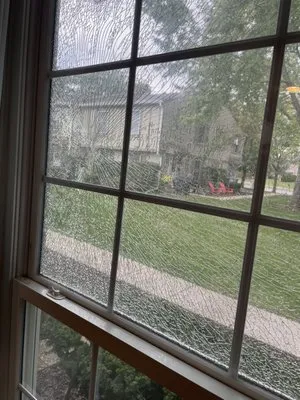 Landscape Concepts Management Logo