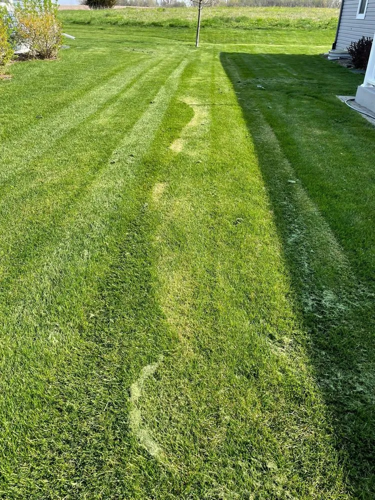 Top-rated yard maintenance experts serving Grayslake, IL - Landscape Concepts Management